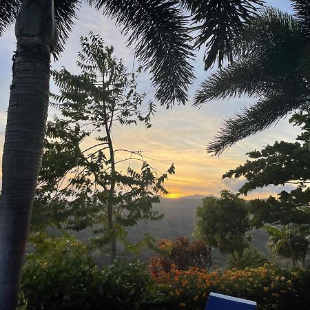 Hawk'S Nest Bed & Breakfast La Laguna de San Carlos Exterior foto