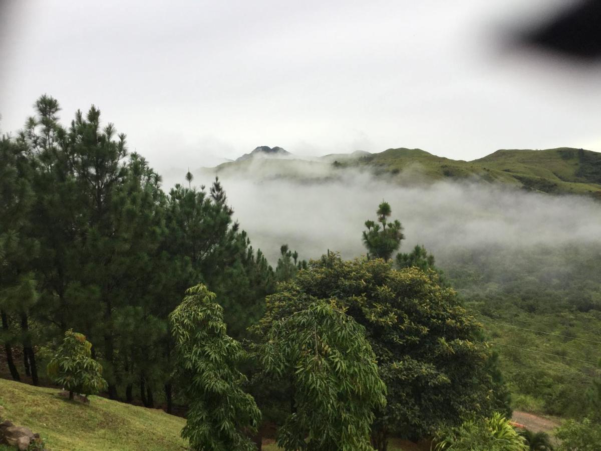 Hawk'S Nest Bed & Breakfast La Laguna de San Carlos Exterior foto