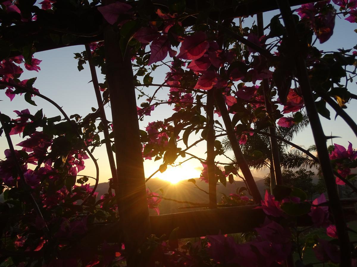Hawk'S Nest Bed & Breakfast La Laguna de San Carlos Exterior foto